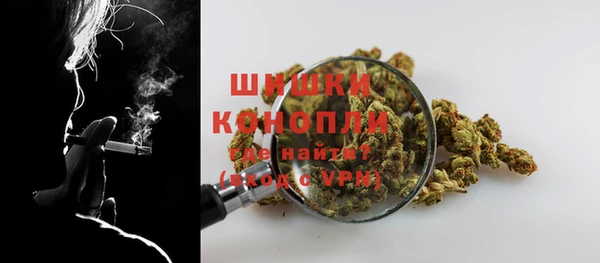 сатива Краснотурьинск