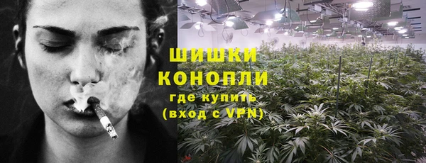 сатива Краснотурьинск