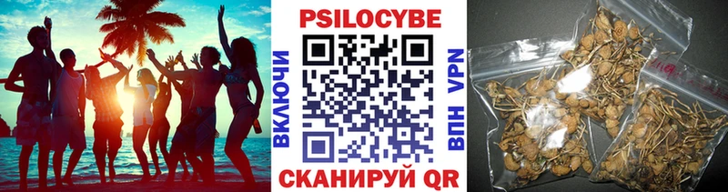 наркотики  Талдом  Галлюциногенные грибы мицелий 